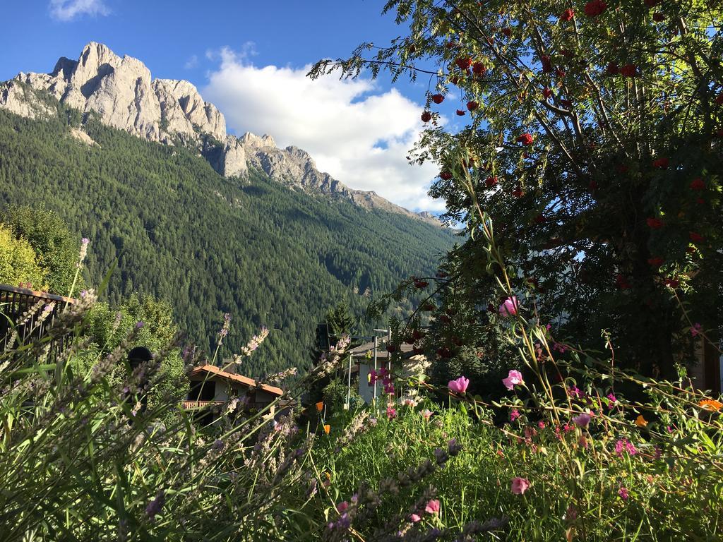 Garni Enrosadira Hotel Vigo di Fassa Luaran gambar